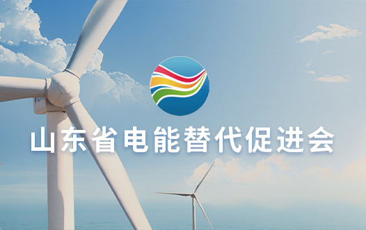 山東省電(diàn)能替代促進會